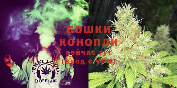 дмт Нея