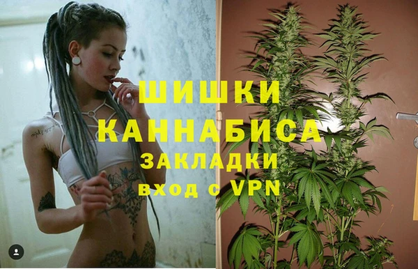 дмт Нея