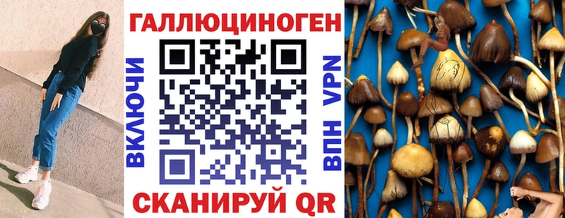 Купить где  Заполярный  Псилоцибиновые грибы мицелий 